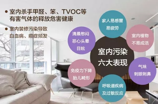 裝修污染早已伸向了學(xué)校？中學(xué)生無(wú)緣高考的背后是什么？